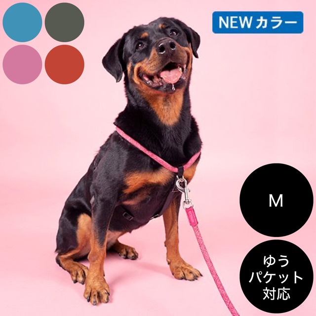 HIGH5DOGS（エイチファイブディ）Rope Walker Harness M ゆうパケット対応