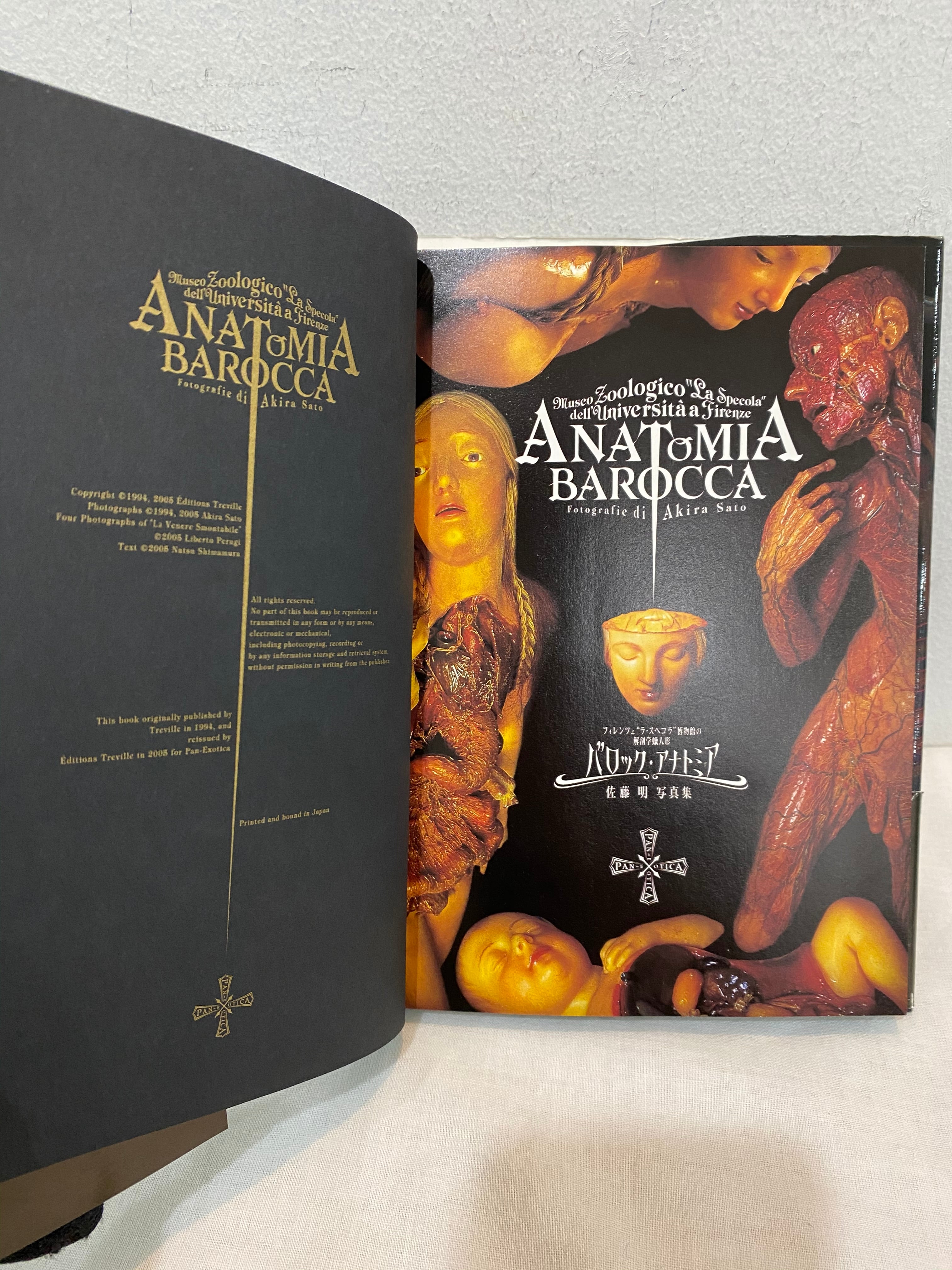 解剖学蝋人形 バロック・アナトミア ANATOMIA BAROCCA | Pay ID