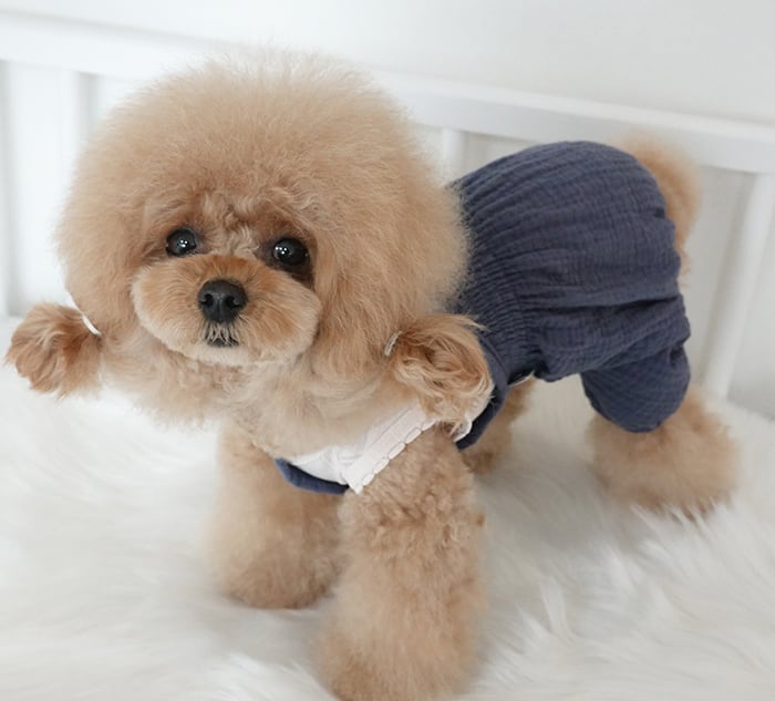【SALE】 ボリュームオールインワン XS ~ XL 3color  /  犬服 春夏 新作 ロンパース 可愛い 犬の服 小型犬 中型犬 ドッグウェア お出かけ 犬 服 お揃い シンプル tsu35
