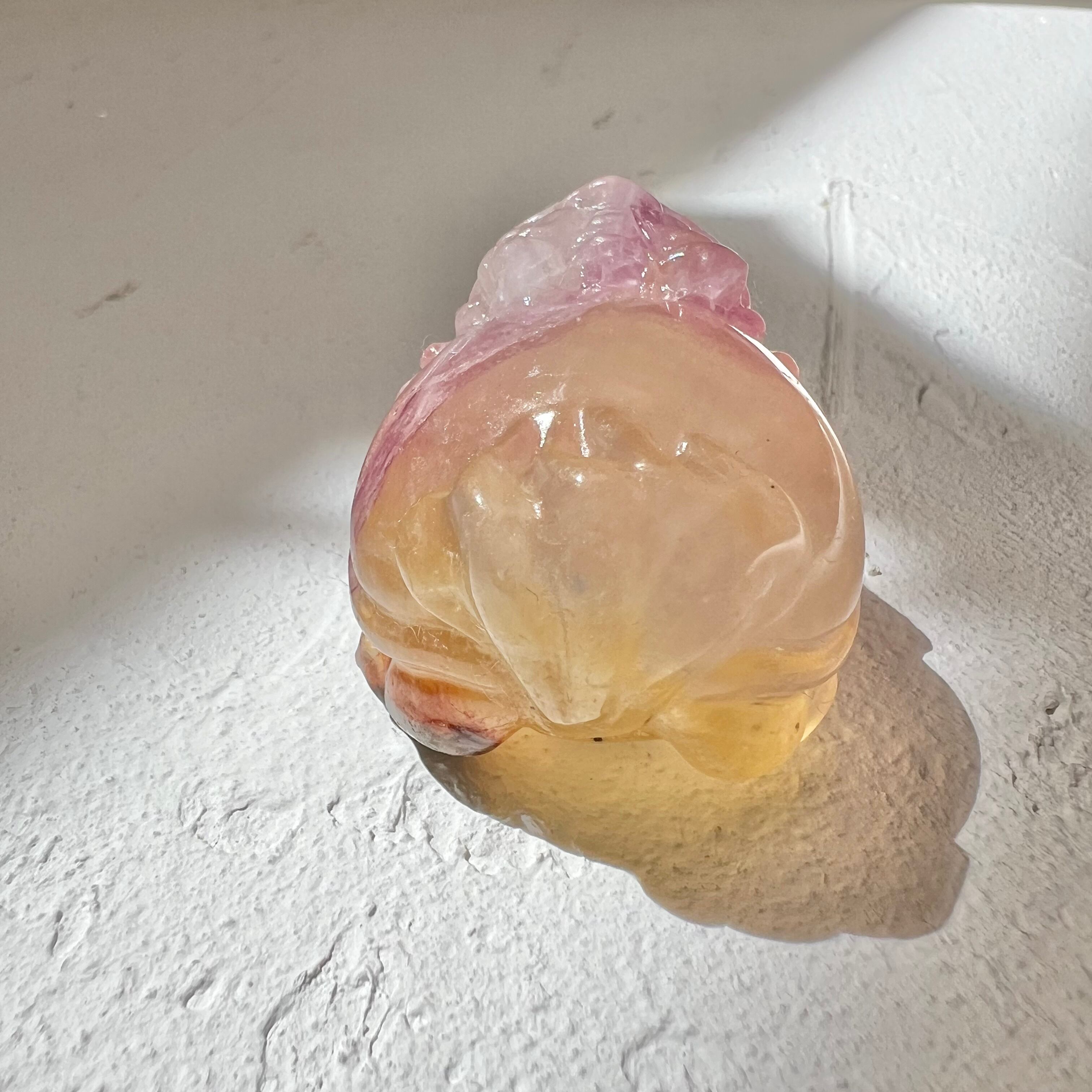 龍亀（ロングイ） | atelier panier