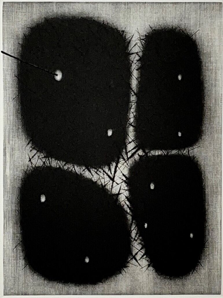 大矢雅章作品/ 銅版画 /「Correspondeances 37」 / シートのみ