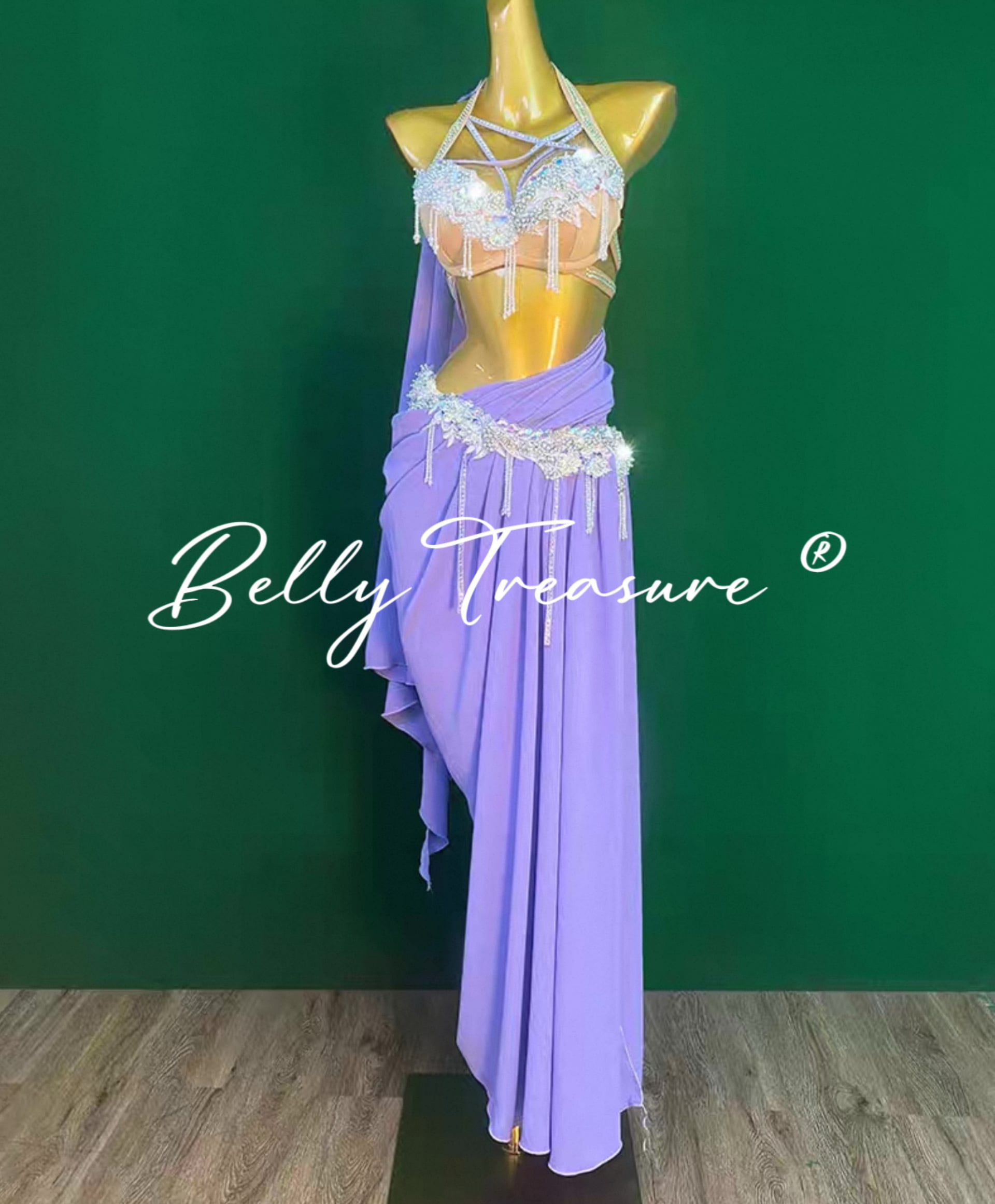 ベリーダンス衣装 WZY 182 202507 | Belly Treasure®︎
