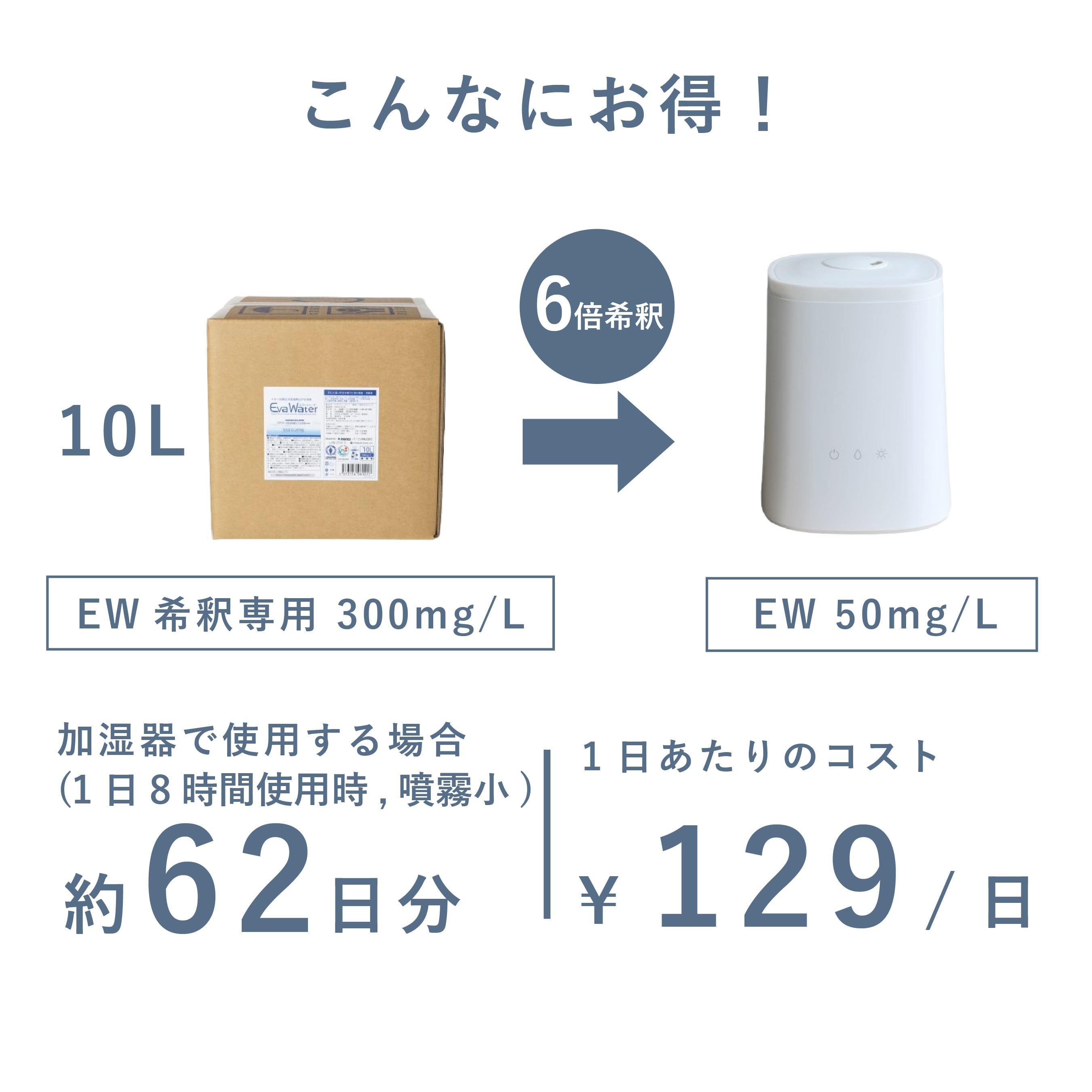 次亜塩素酸水 エヴァーウォーター 10リットル×1本入 (87759) Evatec⁄エヴァテック研究所 弱酸性次亜塩素酸除菌消臭水