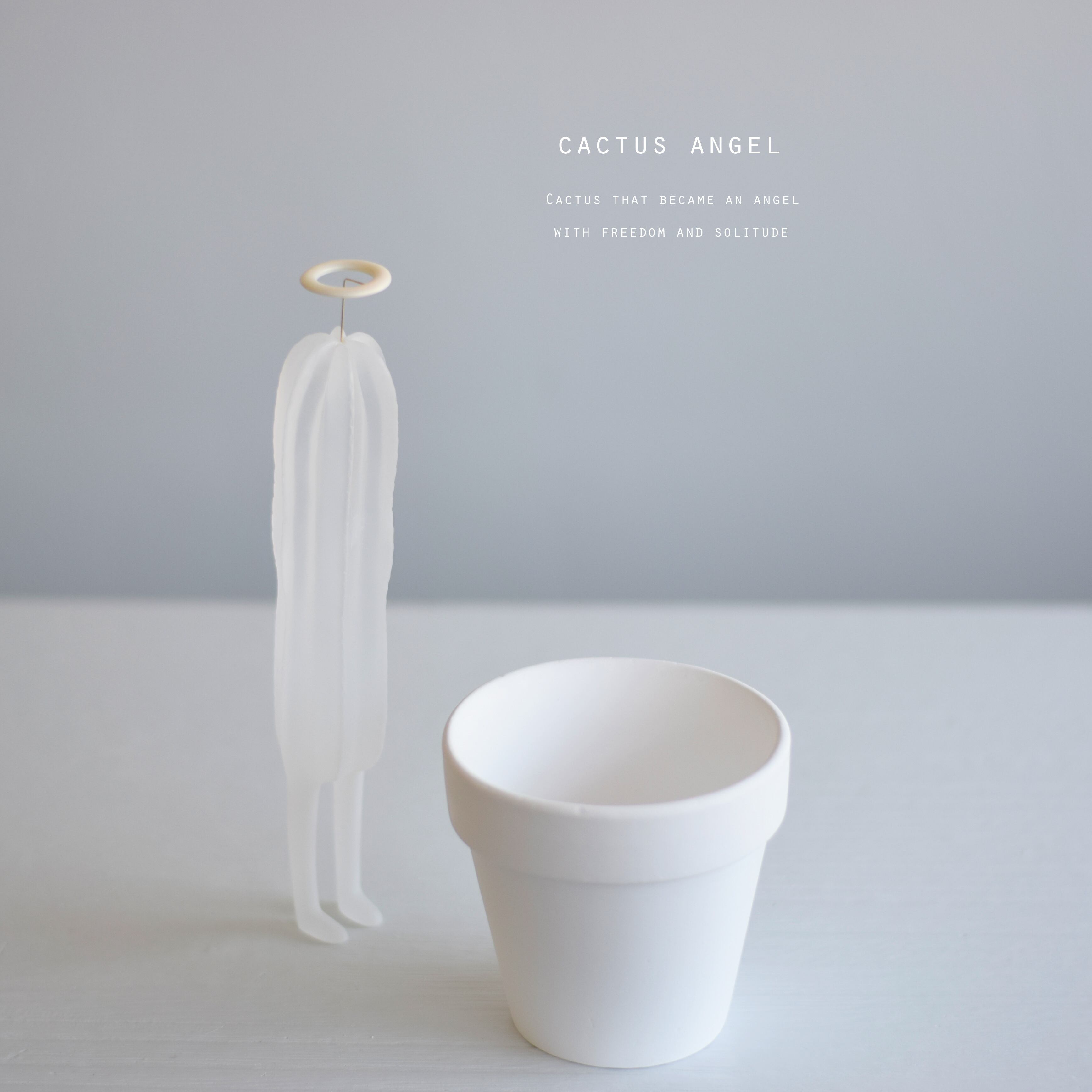 サキュレント（多肉植物）とサキュ天使 | echidna