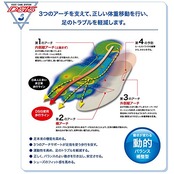 SORBO(ソルボ) DSISソルボサッカージュニア 2L P6JYA80122J2L ロイヤルブルー J2L