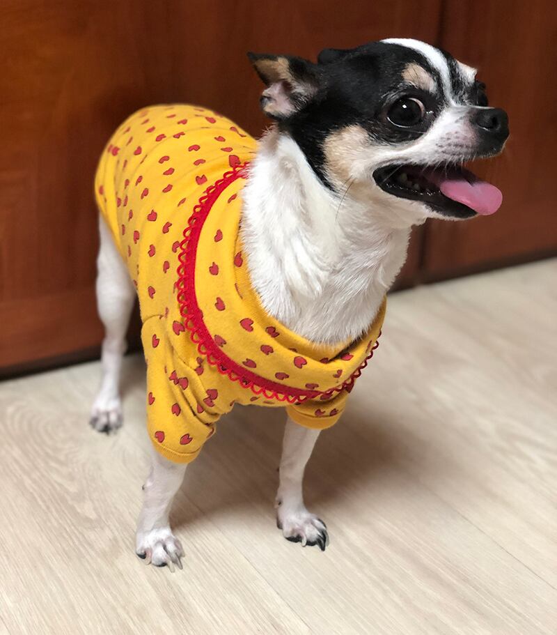 【SALE】ハートトップス XS ~ XL 2color / 犬服 新作 秋冬 ドッグウェア ペット用品 犬 服 小型犬 中型犬 top52