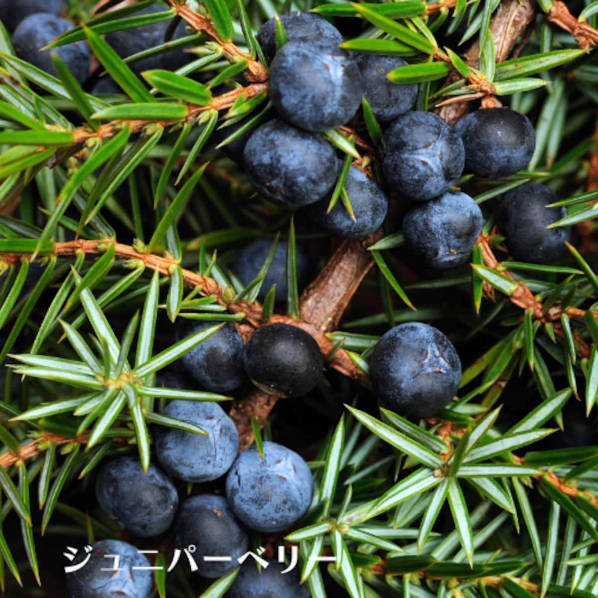 8c757b7bf872399ce7a62070dfb400