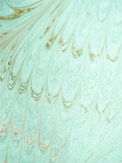 「橙にそよぐ」♡ピーコック崩し柄〜セオアルファ　浴衣・夏着物・単衣