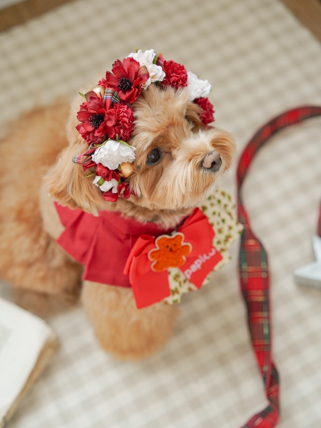 〈予約アイテム〉Drops Flora Crown - Christmas ver. Red check ribbon