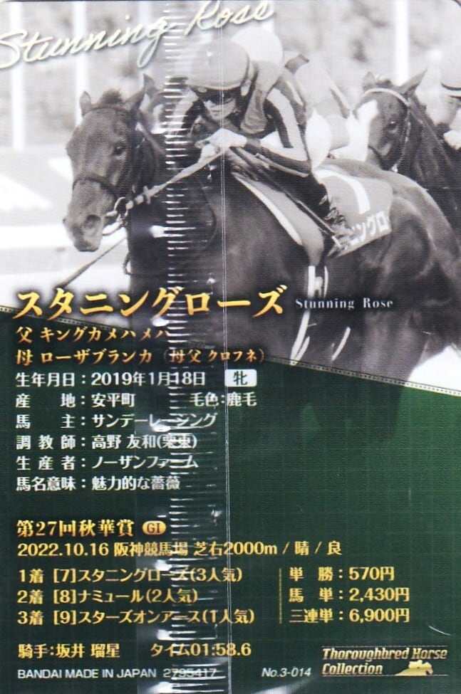 金箔サイン入)スタニングローズ：第27回 秋華賞「サラブレッドホース
