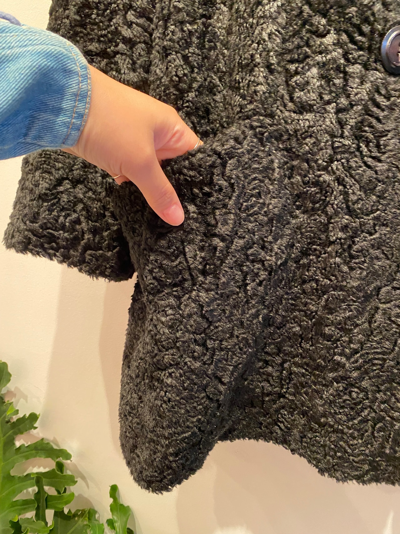 Poodle hair double coat