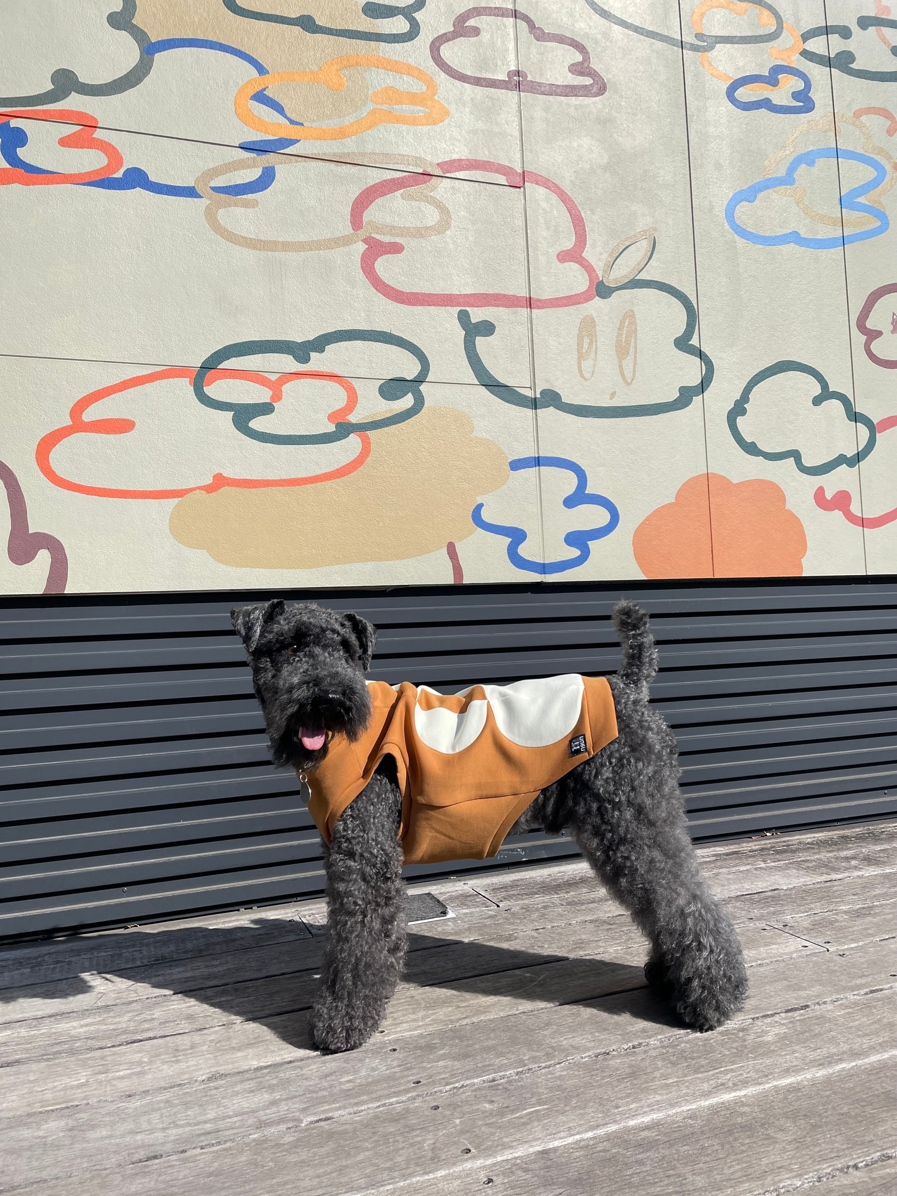 ハーフドット・タンクトップ〈TERRACOTTA＆CREAM〉 | n9un