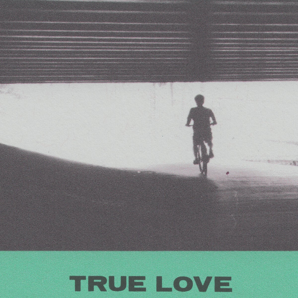 Hovvdy / True Love（Ltd Pink LP）
