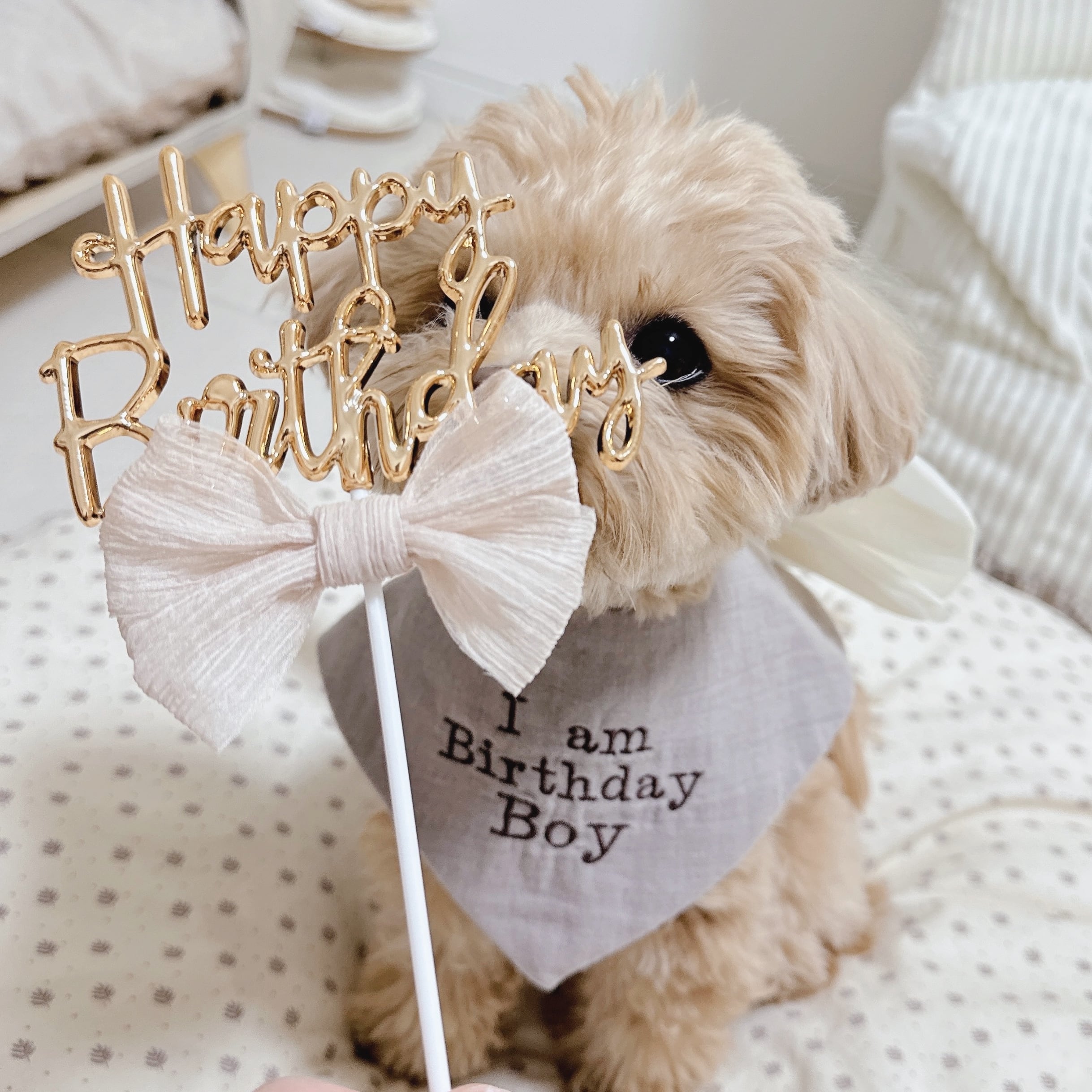 Birthday スティック