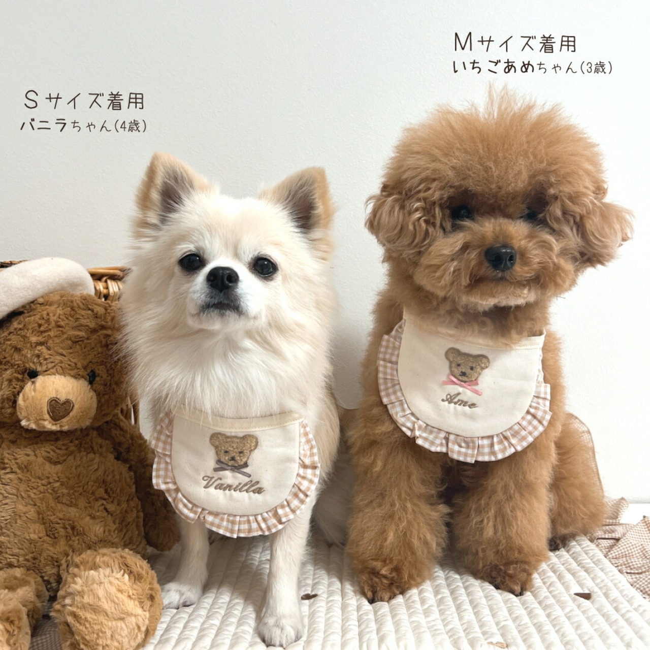 ペット用 もこもこテディベア スタイ 名入れ 名入れ無料 テディベア くま 犬 猫 うさぎ よだれかけ 汚れ防止 ビブ 前掛け ドッグウェア インスタ映え 食事 散歩 アクセサリー おしゃれ おめかし バースデー 誕生日 お祝い プレゼント ギフト 可愛い