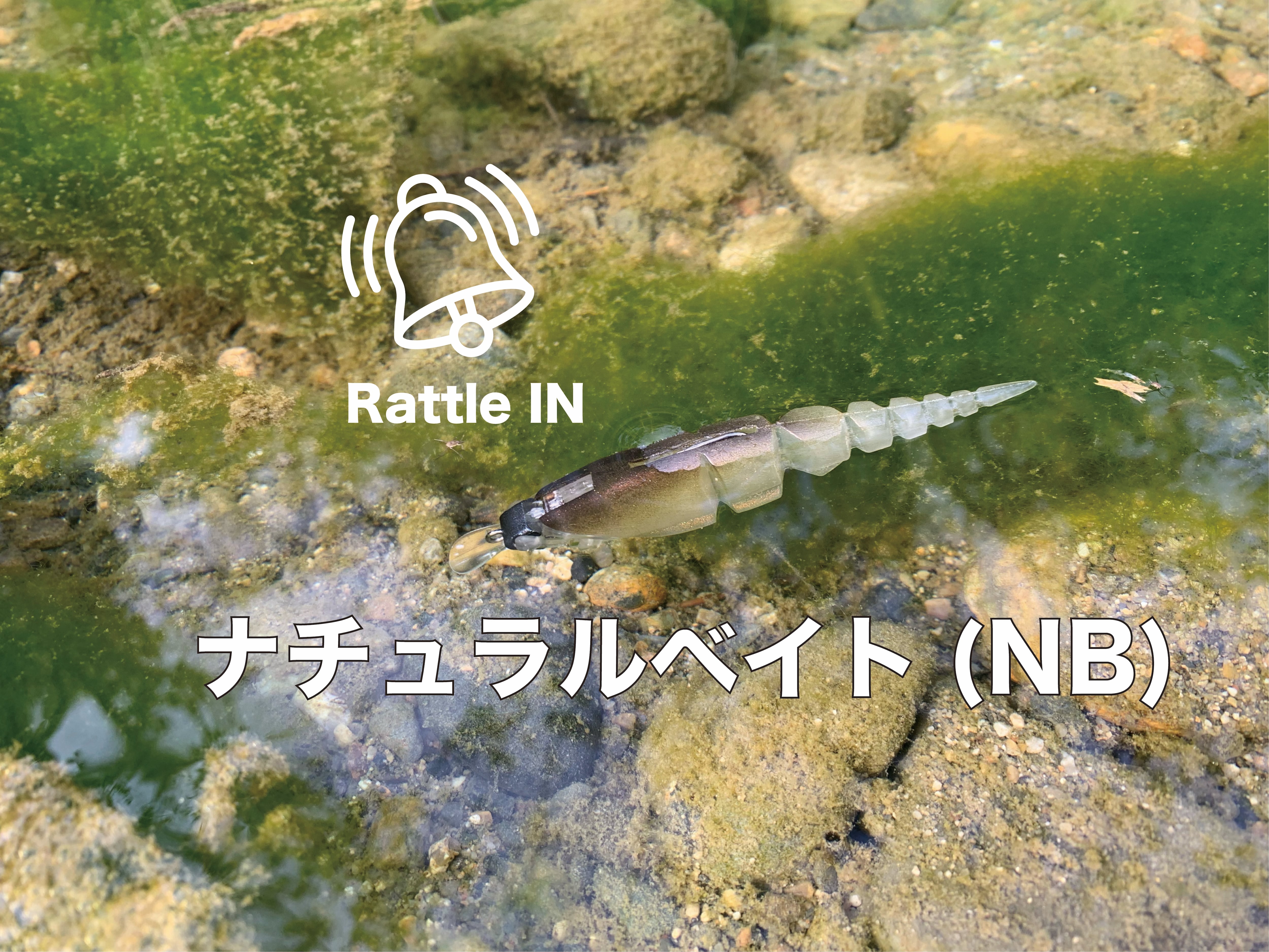 β-MINNOW（Rattle IN） | TTT