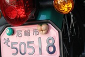 ERO'booty NumberBolt /CC110グリーン