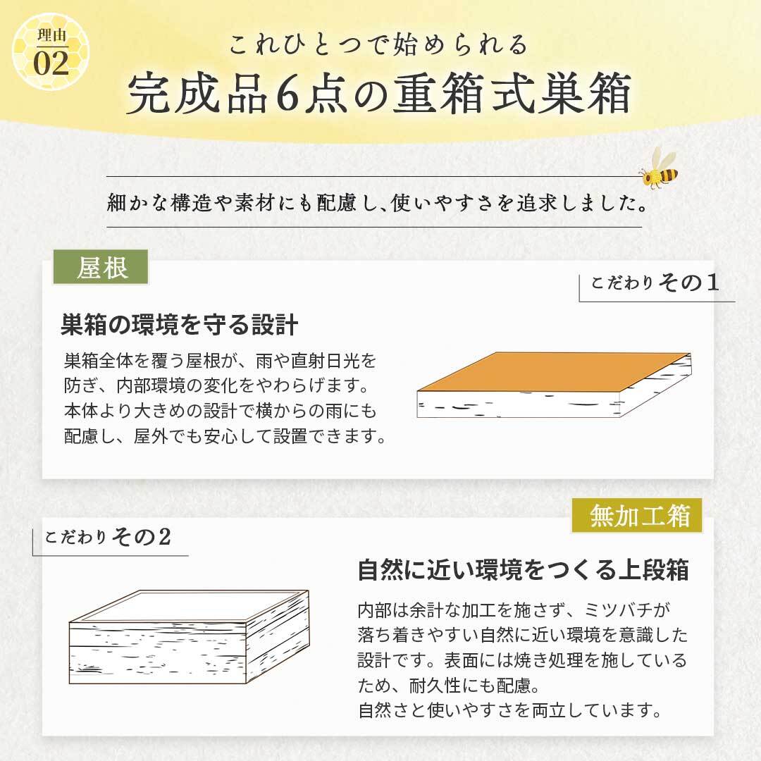 手作り杉材！完成品6点セット】日本語説明書付き ニホンミツバチ 重箱