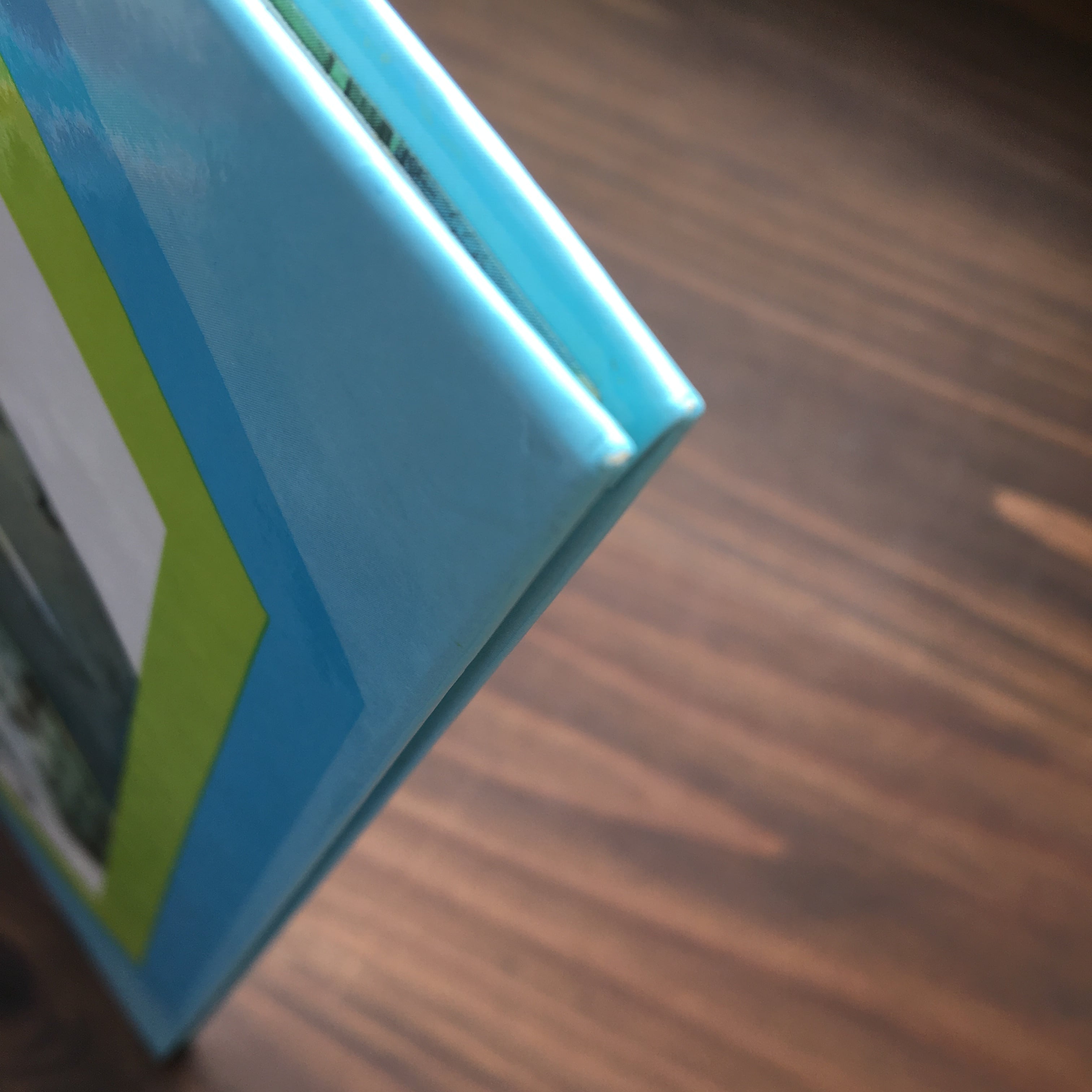 あめのひ（ユリ―・シュルヴィッツ作・画　矢川澄子訳）