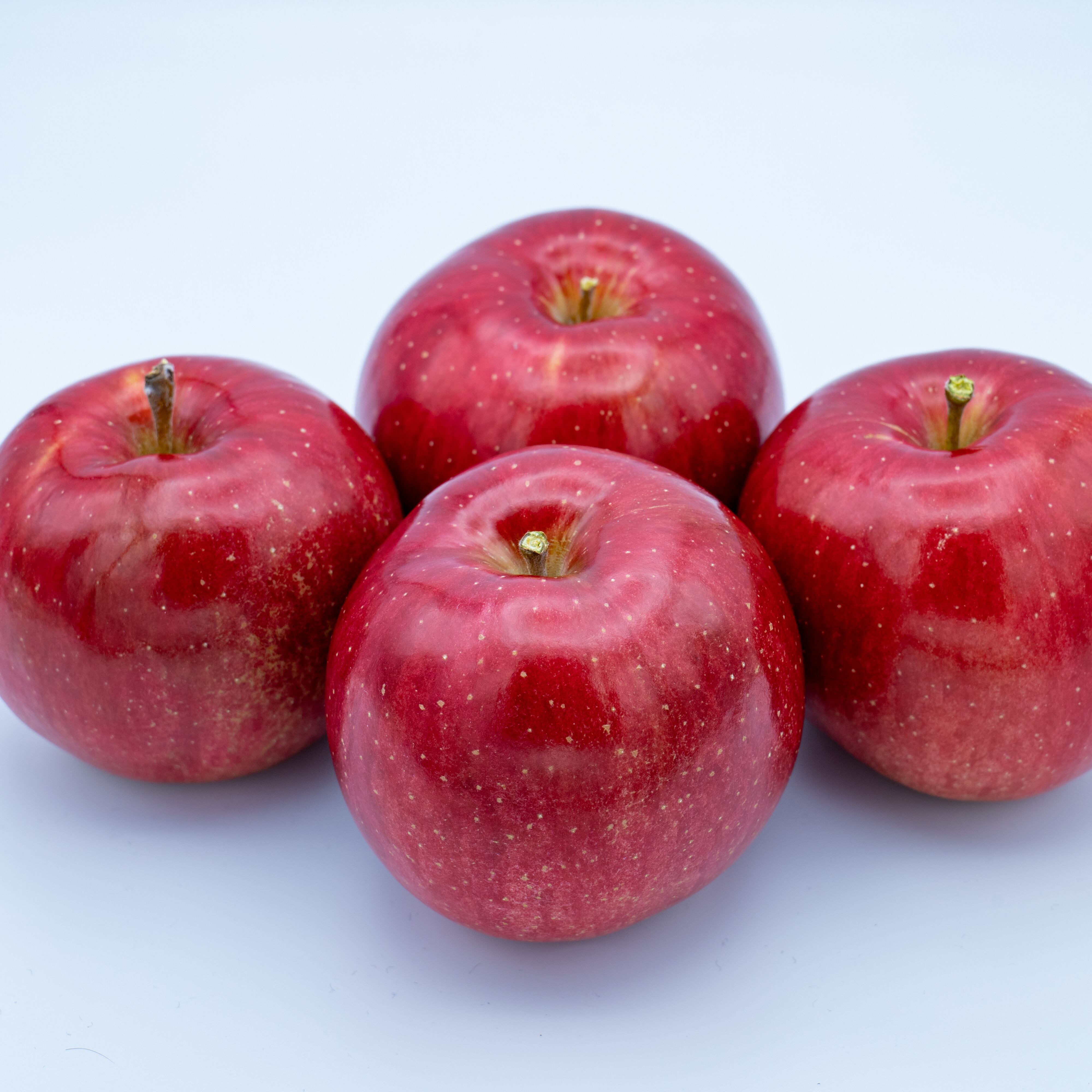 ３個のりんご 送料お得！選べる秋りんご3種セット | いっちゃん林檎農園