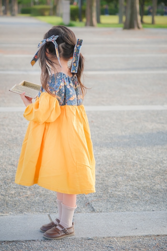 ぽわんの森* 自分でできた!を応援する、後ろ襟ぐりワンピース*【長袖】70㎝▸120㎝