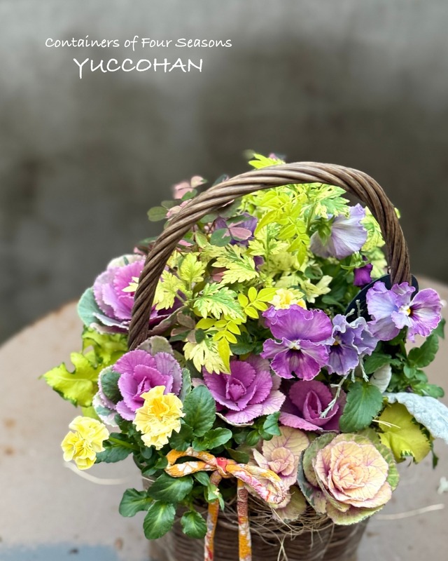 お正月から春まで楽しめる  ギャザリング寄せ植え バスケットA