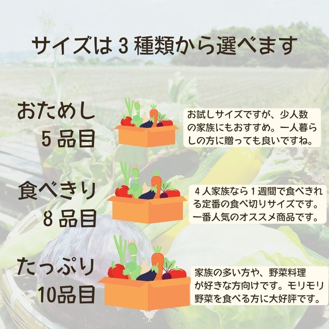 無農薬野菜セット8品目 大阪府富田林市 笑ノ百姓 | VIVA VEGE Plus