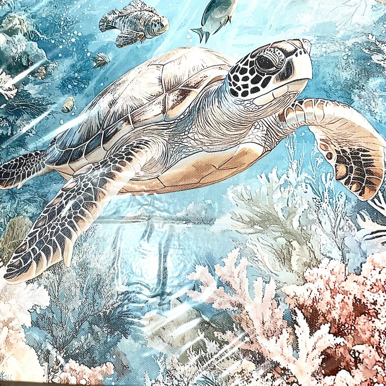 絵画】 ホヌ サンゴ焦 熱帯魚 海 夏 青 ブルー ファブリックボード