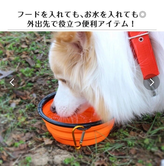 ペット用防災グッズ