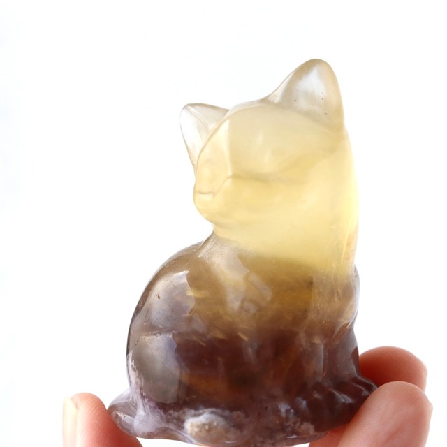 イエローパープルフローライトのねこ