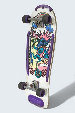 Skeleton Skateboards Radical Dog 80s系 ヴィンテージ スケートボード｜壁掛けインテリア