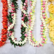 フラダンス 小物 まとめ売り 全8点 セット レイ ピカケレイ イリマレイ 花 白 黄 緑 タヒチアン フラ ダンス ステージ イベント アクセサリー ネックレス 飾り ホワイト系 イエロー系 オレンジ系 ピンク系