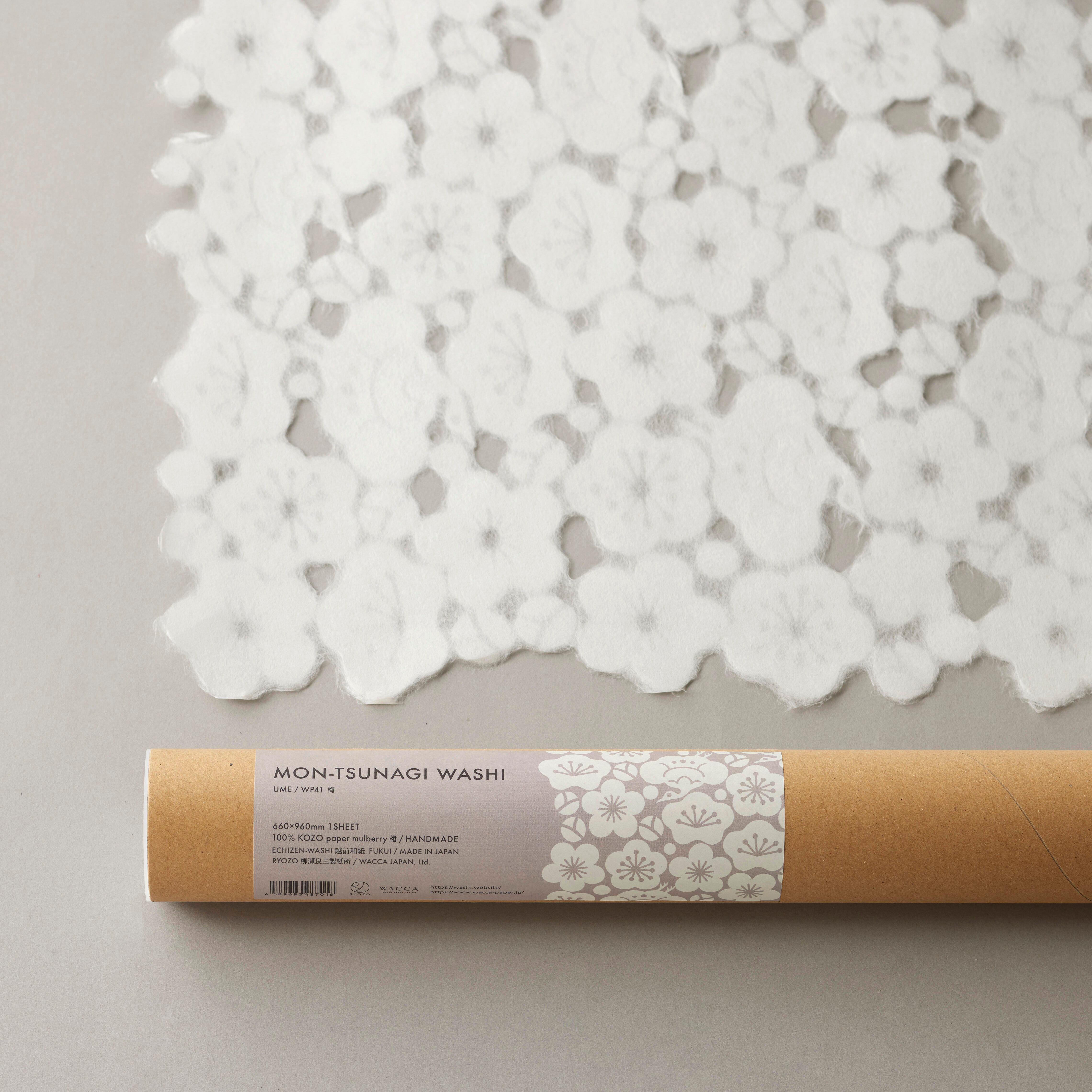 monaka　24枚 Gyuto (Chef's Knife) Manaka Hamono Kisuke 【ENN】Blue Steel