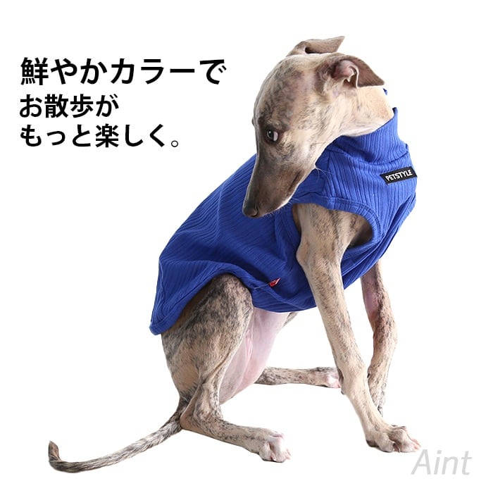 イタグレ タンクトップ 袖なし ウィペット ミニピン イタグレ服 無地