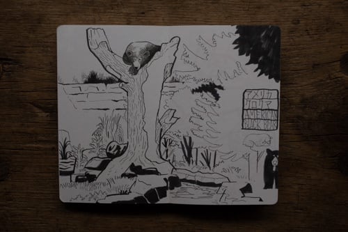 再入荷】SKETCH FROM THE ZOO ／TAKEUMA | casimasi