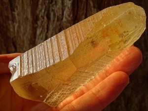 オールドマスターレムリアンシトリン ~The Prince Citrine of Lemuria~