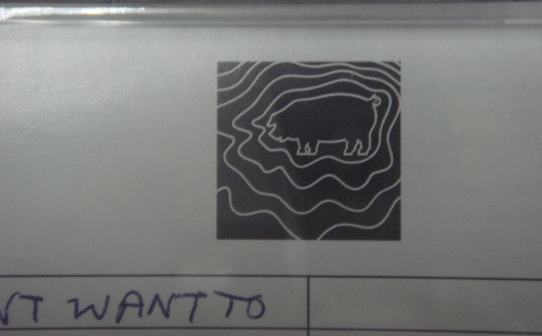 ポール・マッカートニー カセットデモ RSD2017 Demos カセットテープ