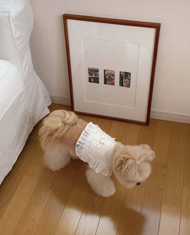 〈即納アイテム〉OUNCE / エアフリルハーネス（ホワイト)