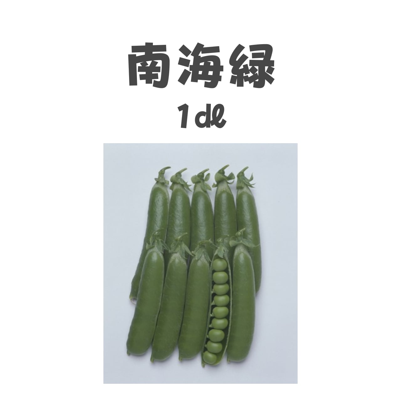 南海緑 エンドウ種子・1dl