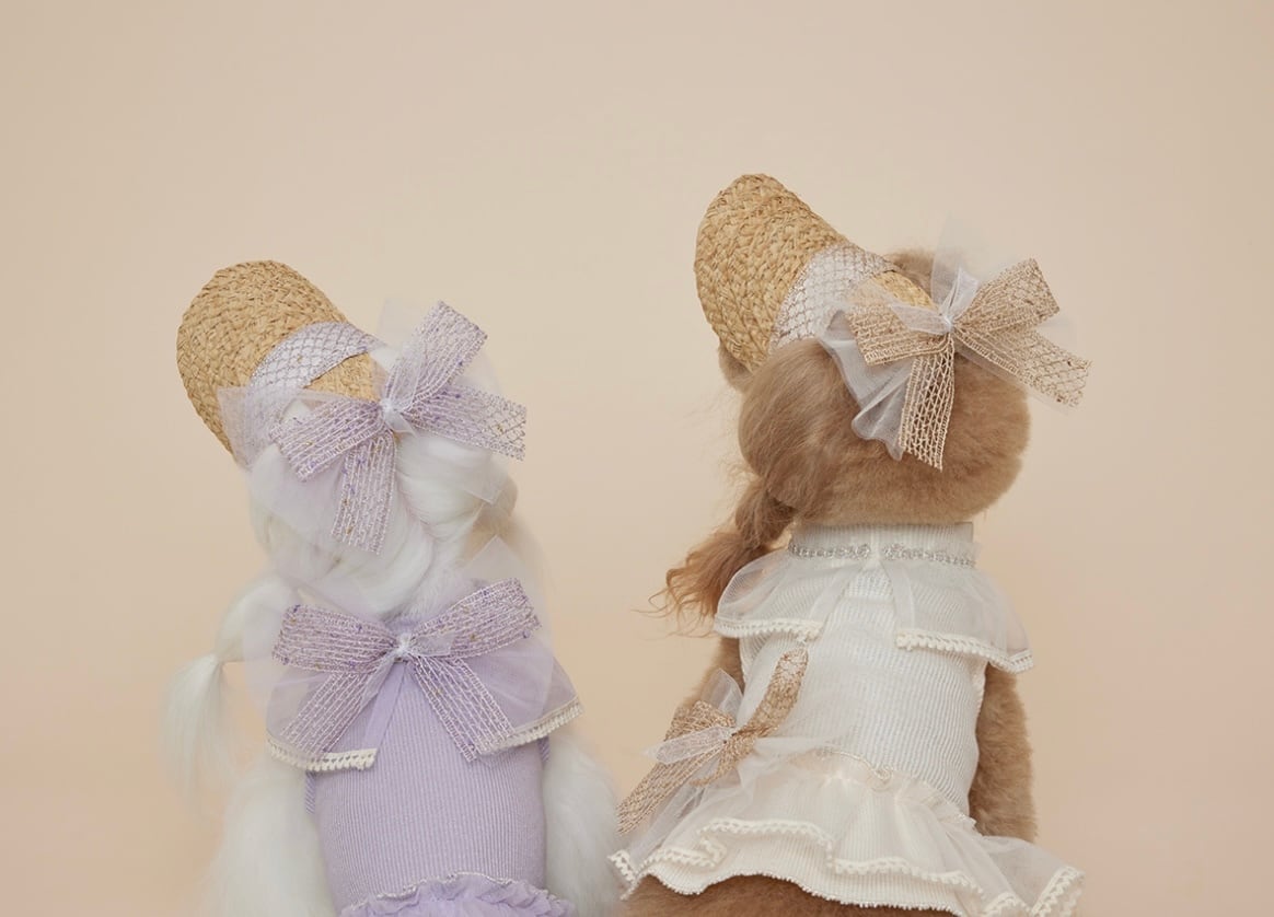 【CCPM】Fairy Cape Crop