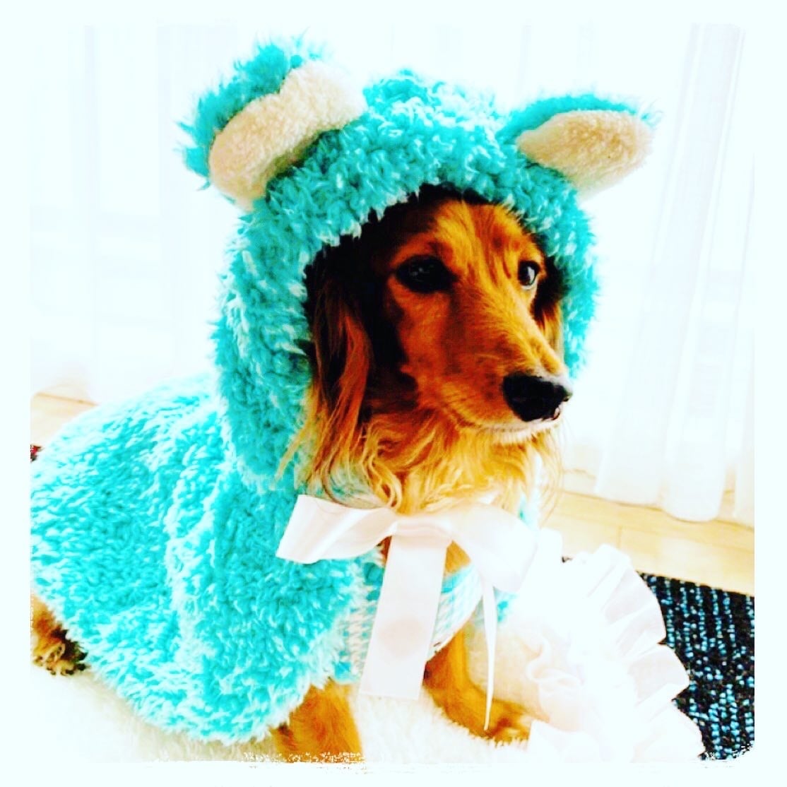 ティファニーブルー くまさんふわふわポンチョ 犬服 ボアファー ティファニーブルー くまさんふわふわポンチョ 犬服 ボアファー