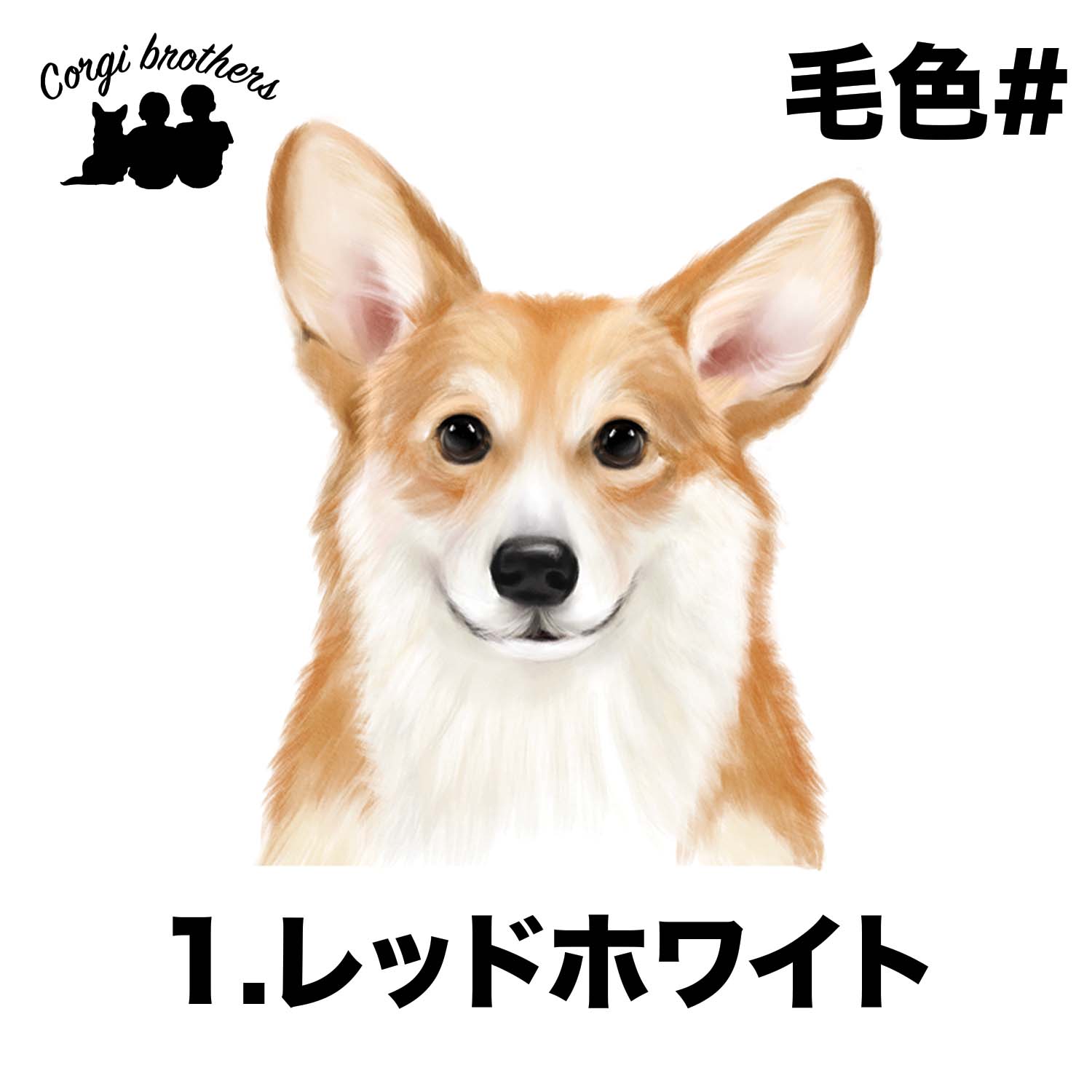 コーギー 水彩画風 毛色4色 】 キャニスター お家用 プレゼント 犬