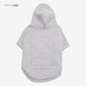 お写真ライトプラン ※プリント代込み