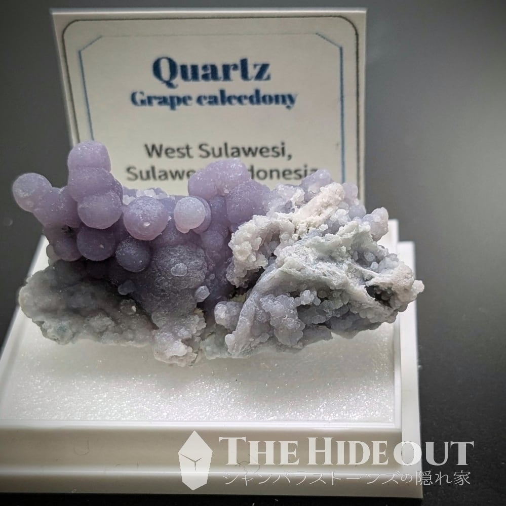 8cca9bf6a3cb5e1ed8c3a8fd35b320