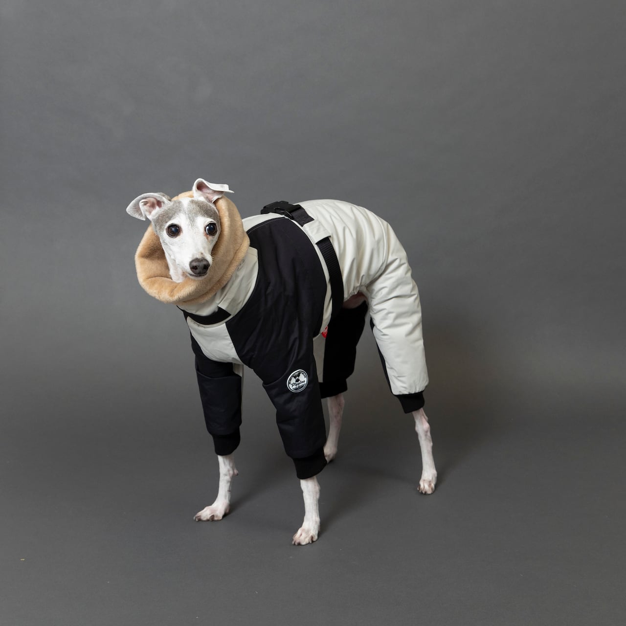 ボンバーヒートジャケット2024 light gray × black / イタグレ服