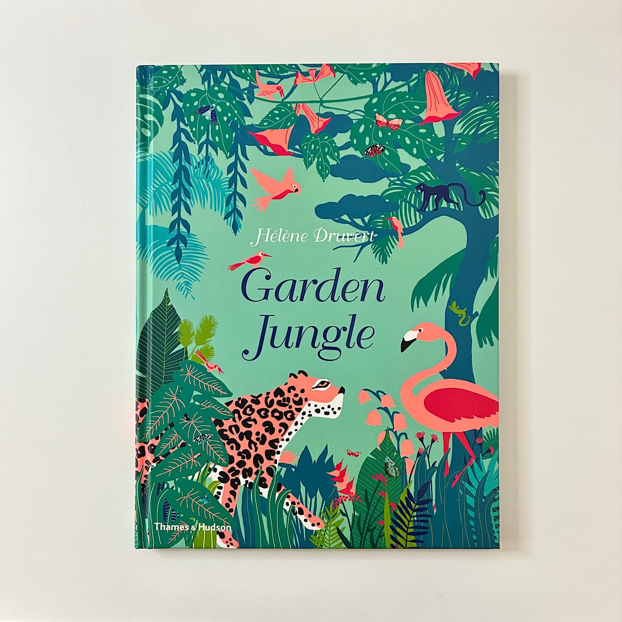 ◇ 動物・植物・虫たち | 素敵な洋書の絵本屋さん Read Leaf Books