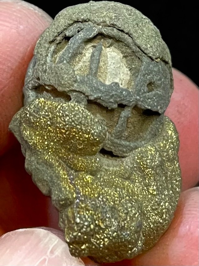 20) 「幸せ」を捕縛する＊ハピネス・キャプチャー「ジャラストラ(絹の網)」小型