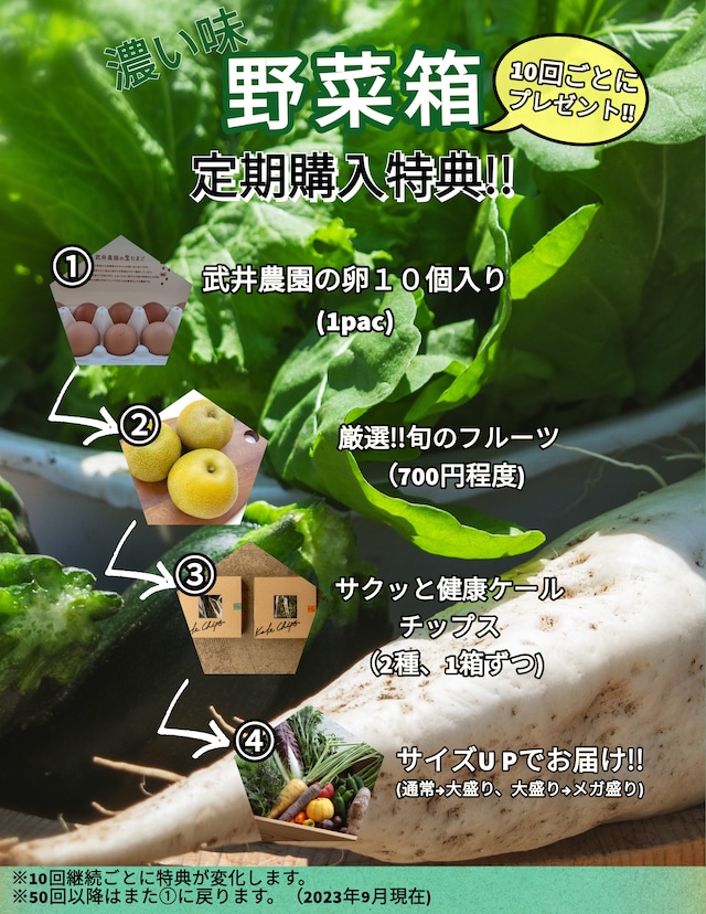 【リニューアル!】野菜計画の"濃い味"野菜箱(*初回限定10%OFF)