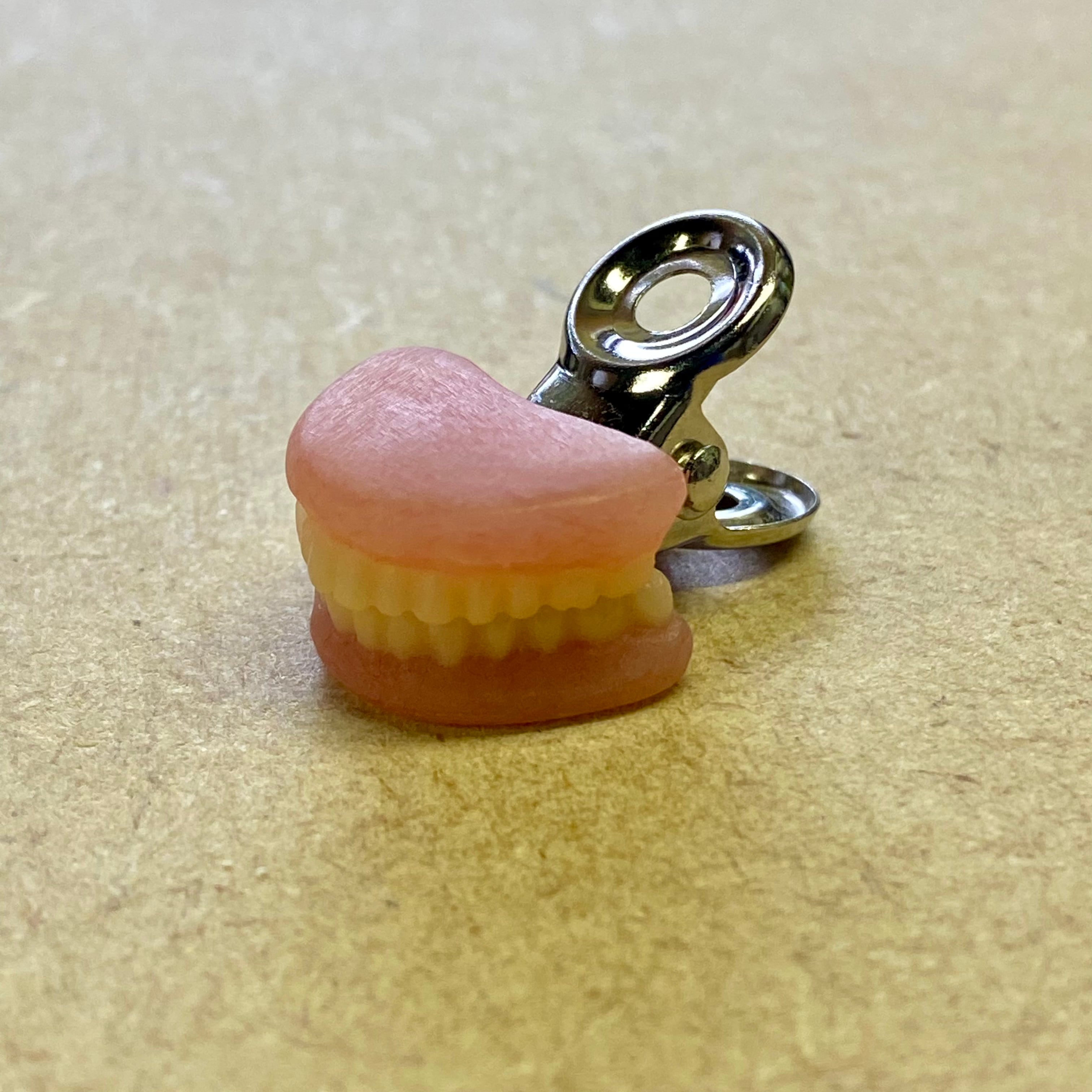 入れ歯サンプル　撮影小物やインテリアに！ シュールな入れ歯クリップ | t.i.e dental lab