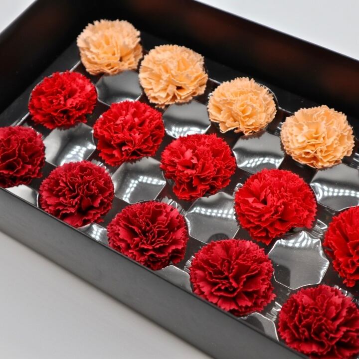 ミニカーネーションMC-MIX1赤,オレンジ(15輪入り)